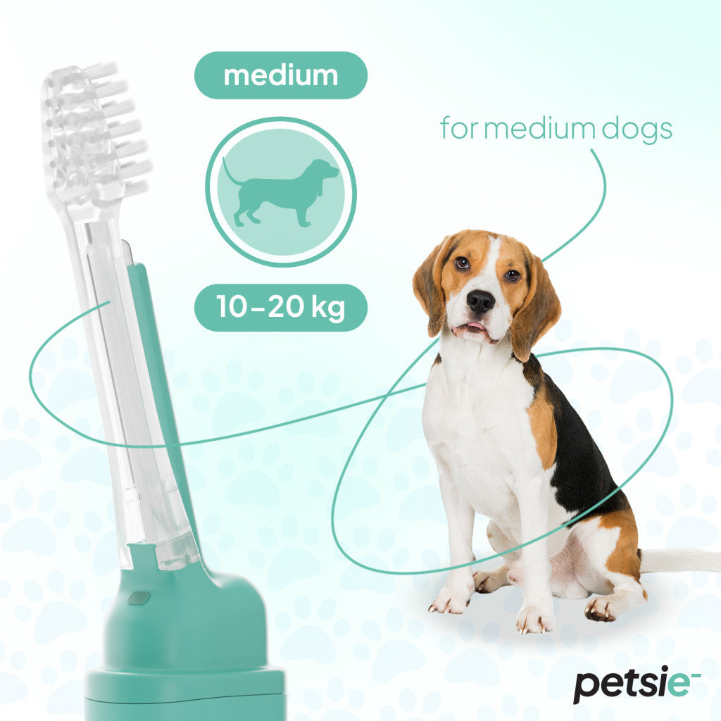 Petsie dog toothbrush (size M  10-20kg)