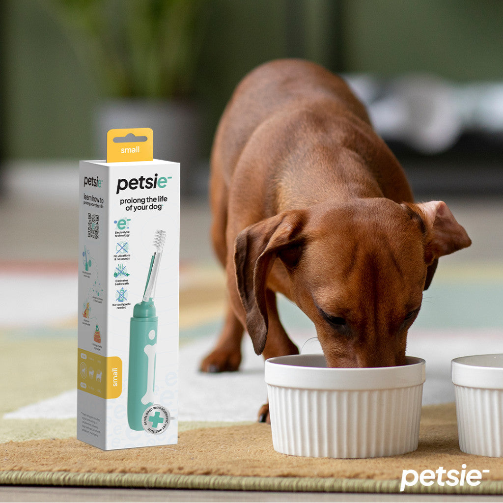 Petsie dog toothbrush (size M  10-20kg)