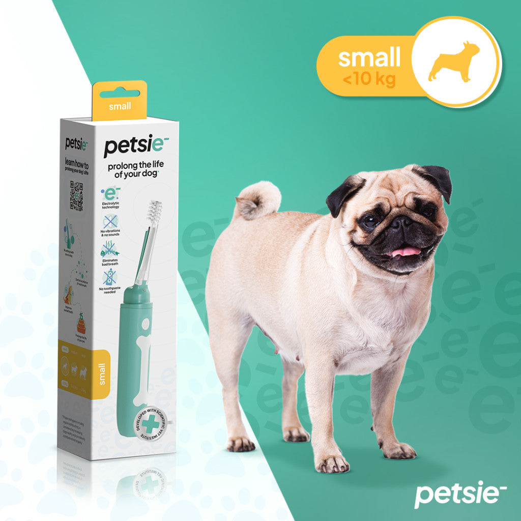 Petsie dog toothbrush (size M  10-20kg)