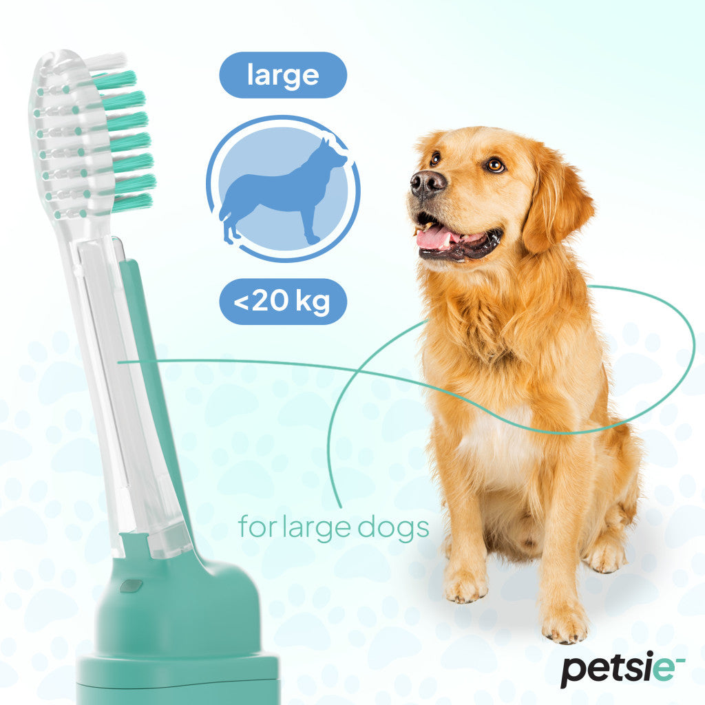 2 replacement heads for Petsie dog toothbrush (size L  20+kg)